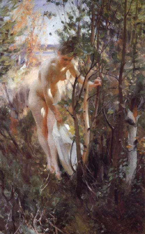 Anders Zorn Unknow work 88 oil painting image